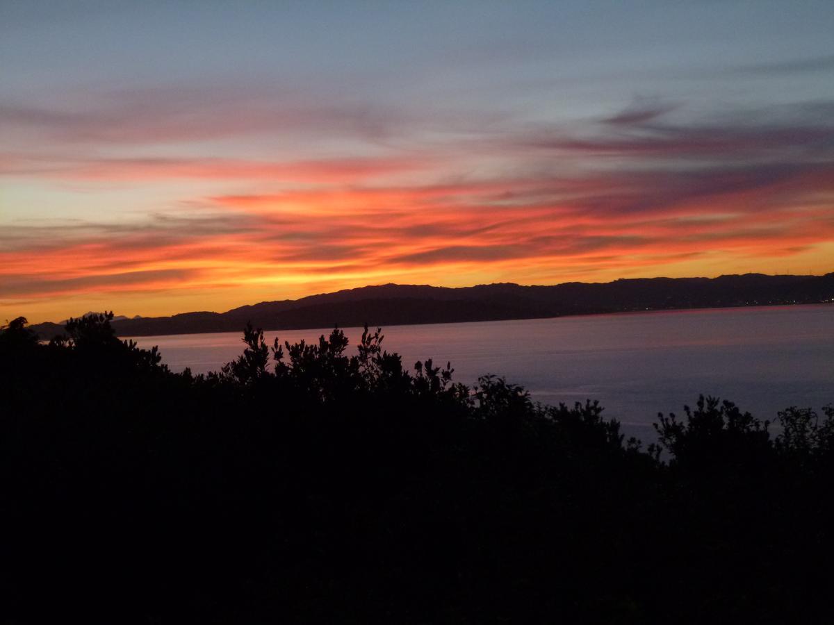 Breakaway At York Bay Bed & Breakfast Days Bay Екстериор снимка
